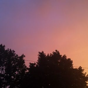 Meet your Posher, Fannie